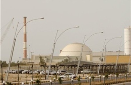Nhà máy điện hạt nhân Bushehr của Iran gặp sự cố